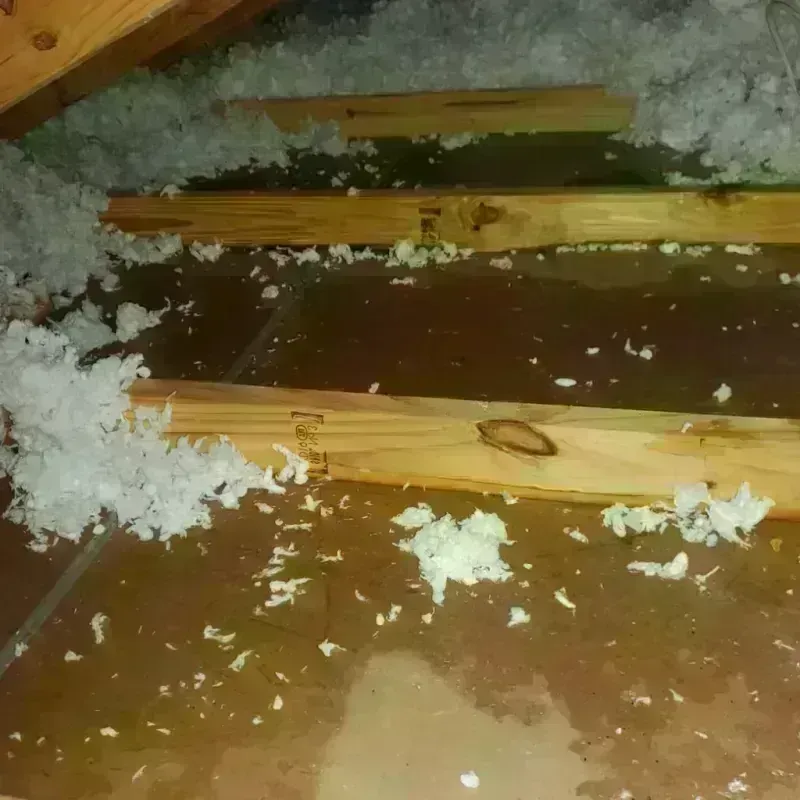 Attic Water Damage in Townsend, MT