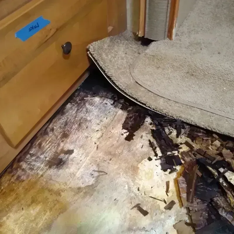 Wood Floor Water Damage in Townsend, MT